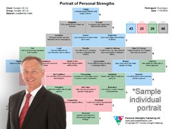 SDI Personal Strengths